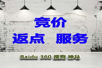 SEM服务公司助力企业增长案例