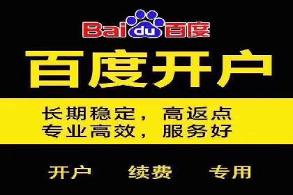 SEM推广与竞价代运营结合的实战案例分析